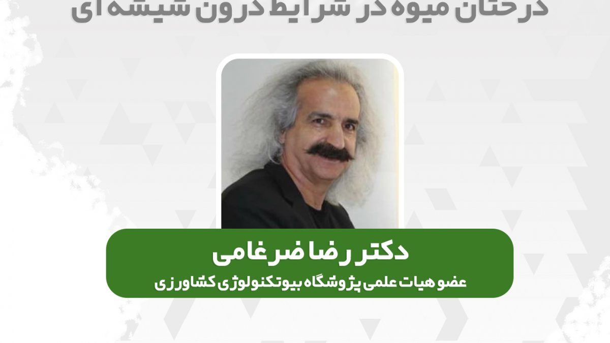 دکتر رضا ضرغامی